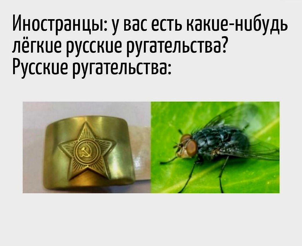 Иностранцы: у вас есть какие-нибудь лёгкие русские ругательства? Русские ругательства: