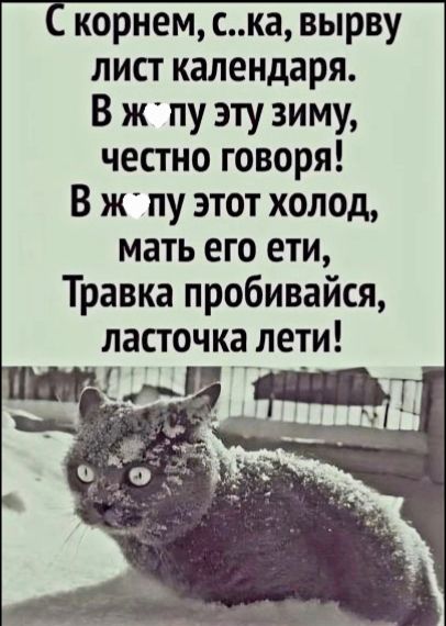 С корнем, с..ка, вырву лист календаря. В жизнь эту зиму, честно говоря! В жизнь этот холод, мать его еды, травка пробивайся, ласточка лети!
