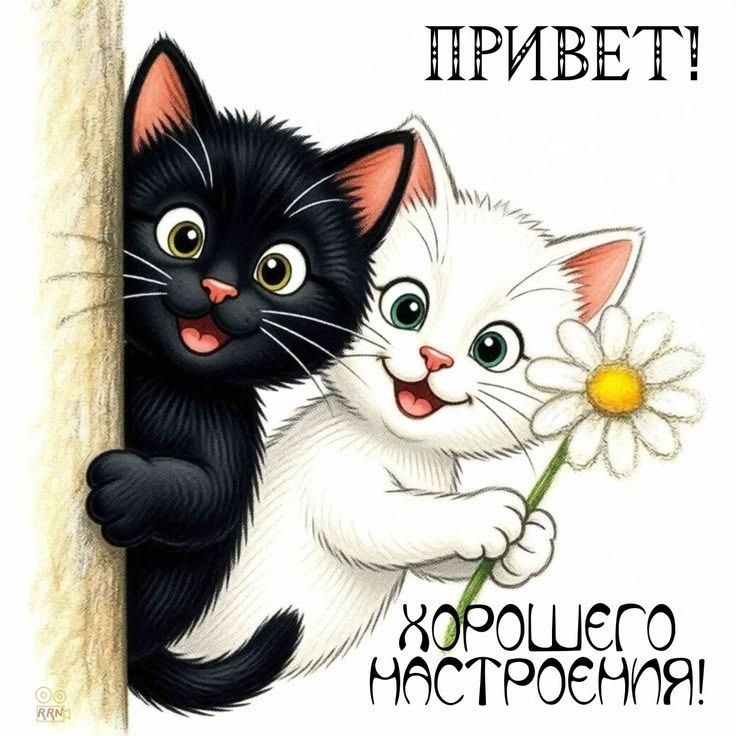 ПРИВЕТ! ХОРОШЕГО НАСТРОЕНИЯ!
