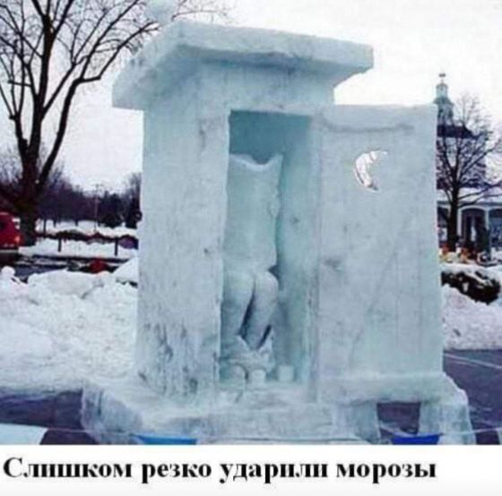 Слишком резко ударили морозы