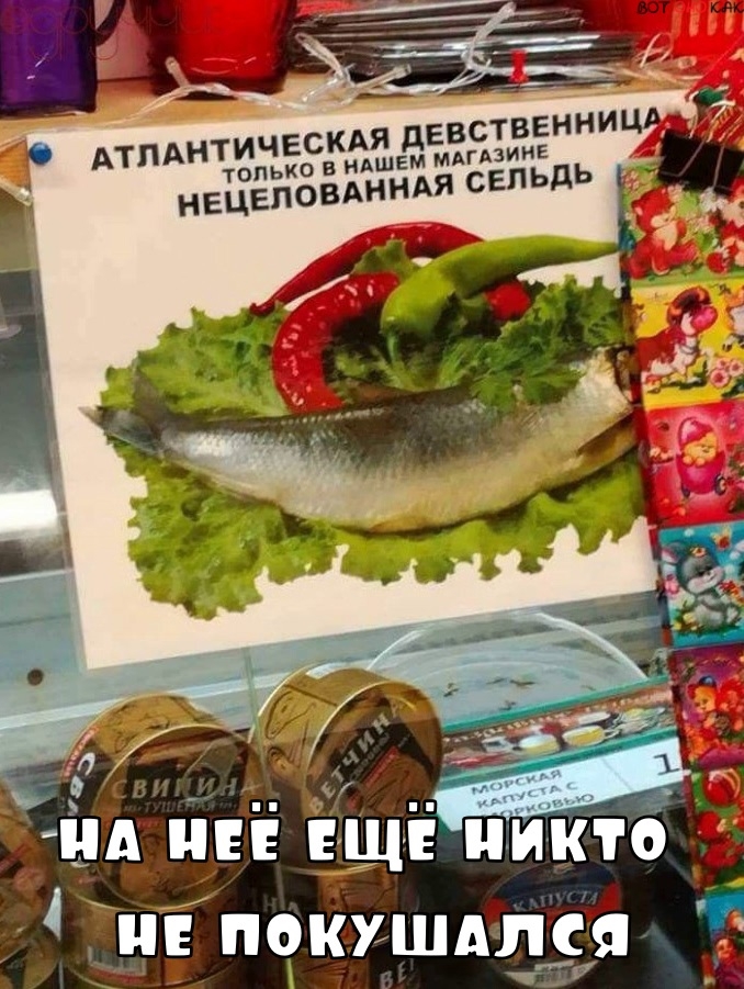 ЗГ_ к АТПАНТИЧЕСКАЯ дЕВСТВЕННИЦ шем мдгюинг только в НА НЕЦЕПОВАННАЯ СЕЛЬДЬ и Ещё ний ш покушдлія