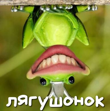 и і из ЛЯГ ОК