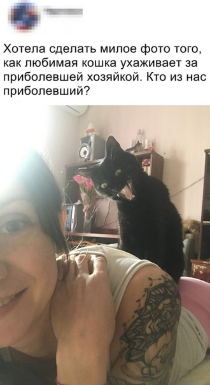 Хотепа сделать милое фото того как любимая кошка ухаживает за прибопевшей хозяйкой Кто из нас прибопевший