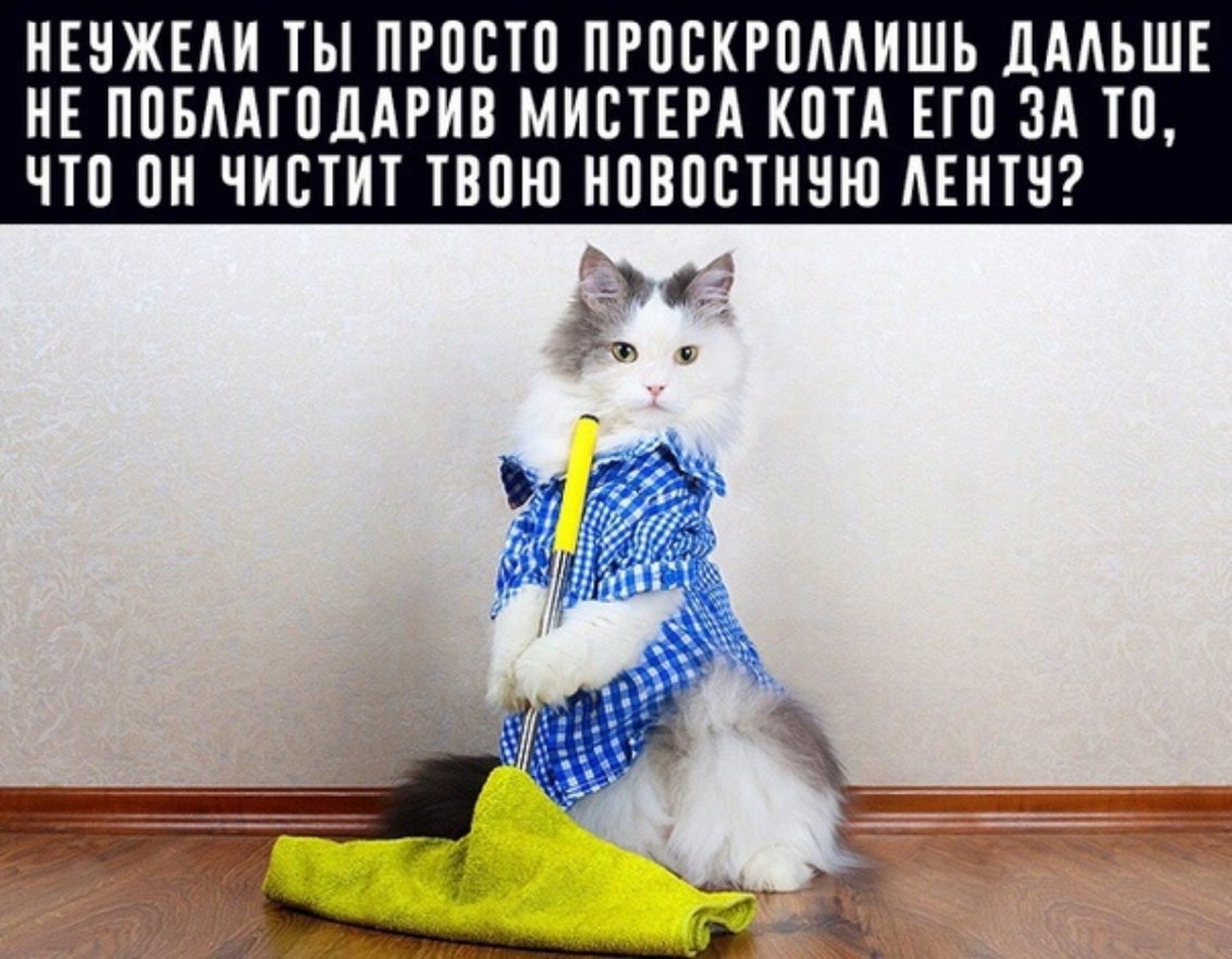 НЕНЖЕАИ ТЫ ПРОСТИ ПРПСКРПМИШЬ ЛААЬШЕ НЕ ППБААГПДАРИВ МИСТЕРА КПТА ЕП ЗА ТП ЧП ПН ЧИЕТИТ ТВОЮ НВВПЕТННЮ АЕНТН