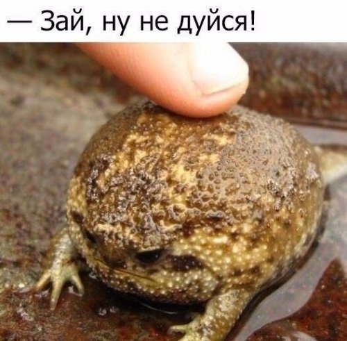 Зай ну не дуйся