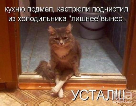 КУХНЁ ПОДМЕЛ КаСТРЮПЩОДЧИСТИЛ из Подильникалишнеевынес