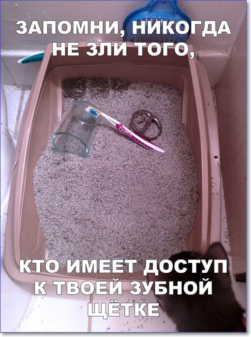 здПОмп іи нйкОгдА нгёпитоге _