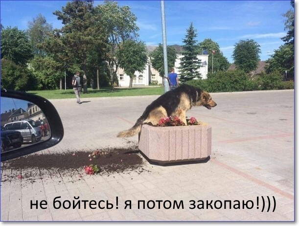 не бойтесь я потом 3акопаю