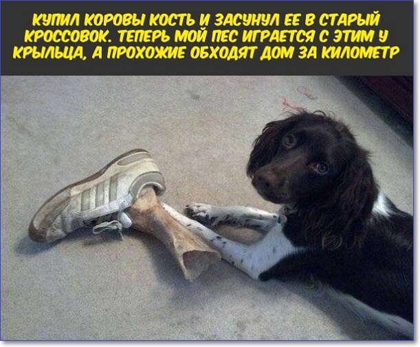 КИПЛЮЮВЫКМТЬИЗАСШШЛЕЕВСТАРЫЙ ЙПЕОИГРАЕТФЯСМ КРЫМА д ХОМММЗА И