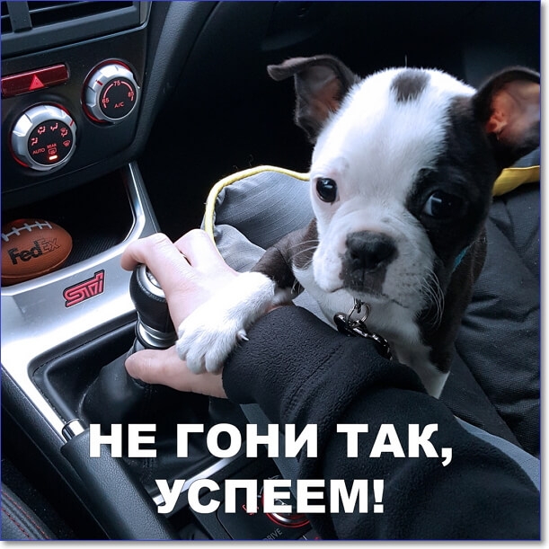 гта ни ТАК пввмц