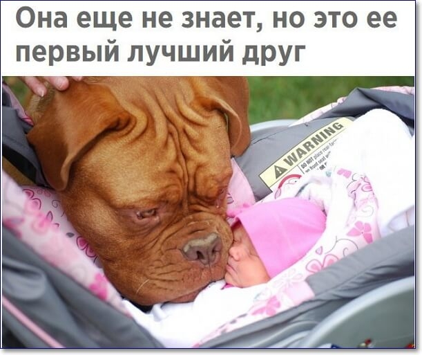 Она еще не знает но это ее первый лучший дРУг