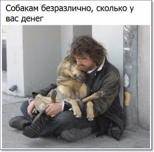 Собакам безразлично сколько у вас денег