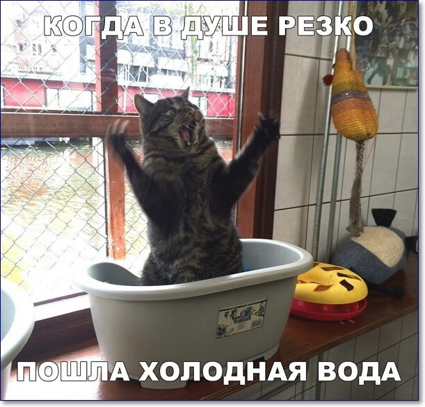 А ХОЛОДНАЯ ВОДА