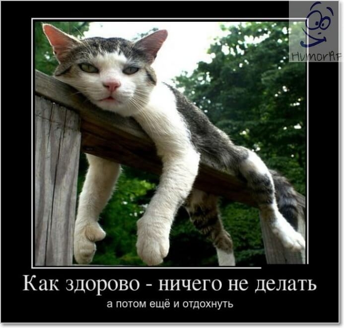 _ Как здорово ничего не делать а потом ещё и отдохнуть