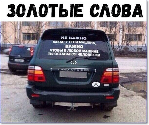 зодотыв сдам