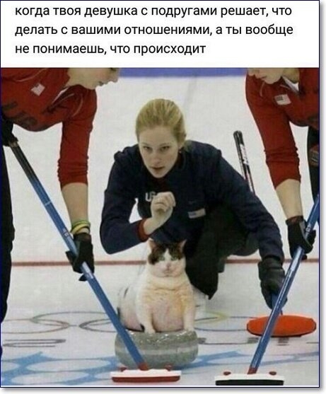 когда твоя девушка с подругами решает что делать с вашими отношениями а ты вообще не понимаешь что происходит