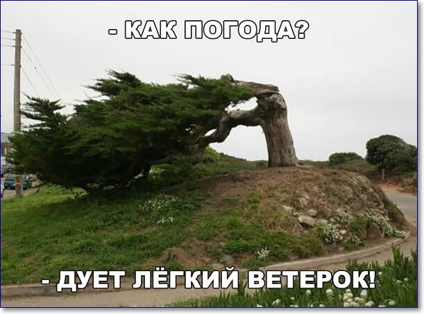 п