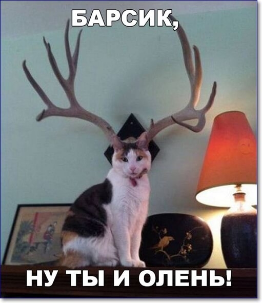 БАРОГЯ _ _ к ну ты и опвны