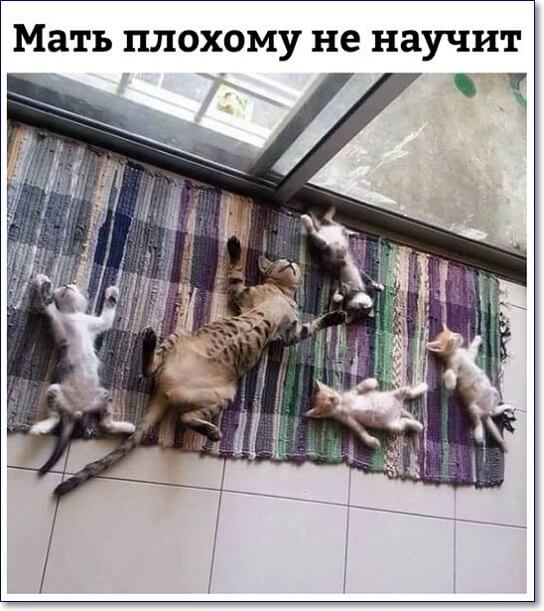Мать плохому не научит