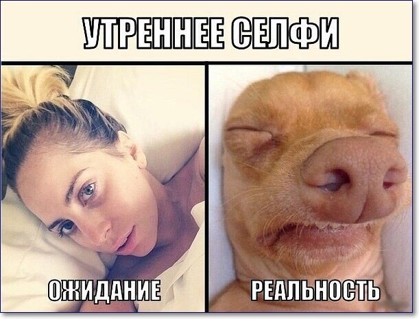 ПШШЕЁ ЁШФП