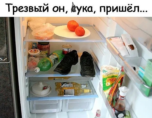 Трезвый он йука пришёл