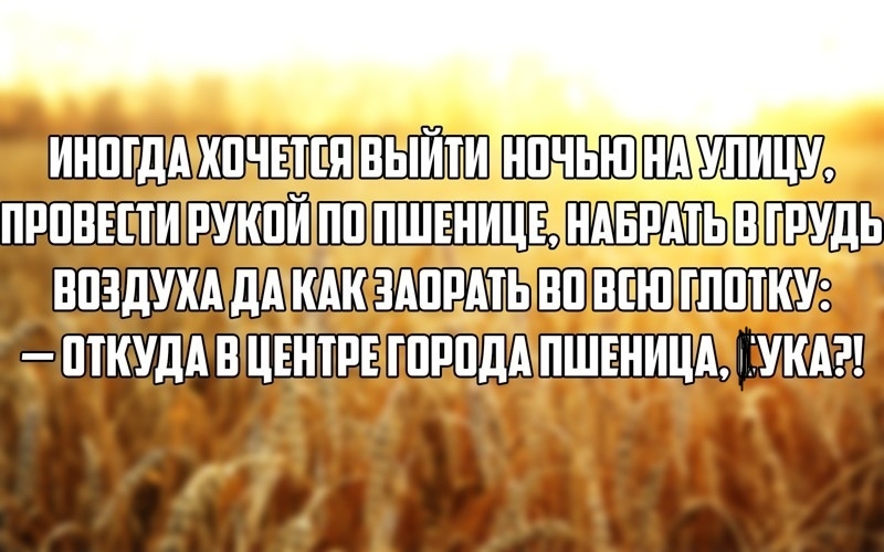 шш о прпввгти впздум ЩКУдАВЦЕНТРЕ