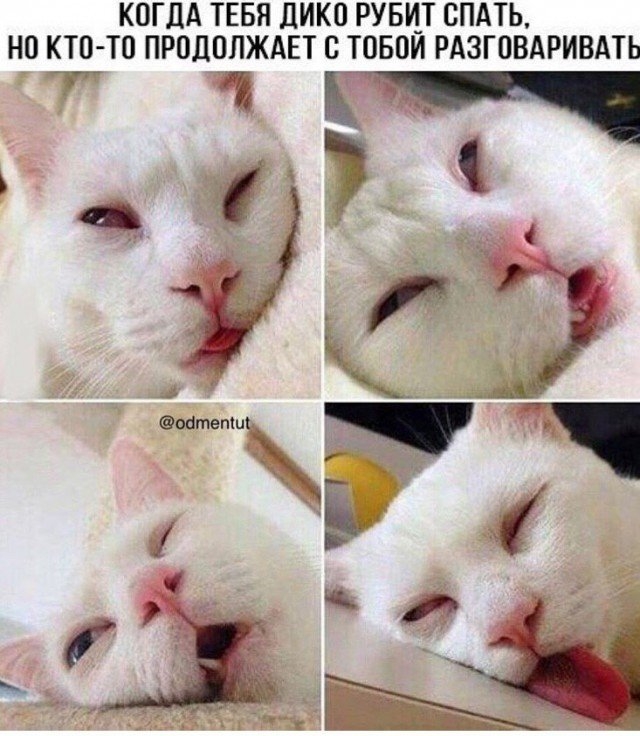 КОГДА ТЕБЯ ДИКО РУБИТ СПАТЬ НО КТО ТО ПРОДОЛЖАЕТ О ТОБОЙ РАЗГОВАРИВАТЬ