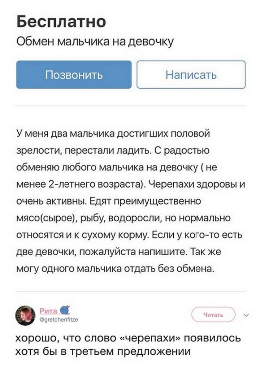 Комментарии Доставляют