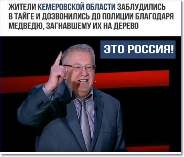 ЖИТЕЛИ КЕМЕРПВСКПЙ ОБЛАСТИ ЗАБПУЛИЛИСЬ В ТАИГЕ И дОЗВПНИЛИВЬ ДО ПОЛИЦИИ БЛАГОДАРЯ МЕДВЕДЮ ЗАГНАВШЕМУ ИХ НА ДЕРЕВО ЭТО РОССИЯ