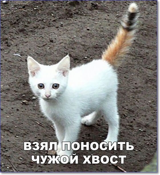 _ взяд поносить чужой хвост