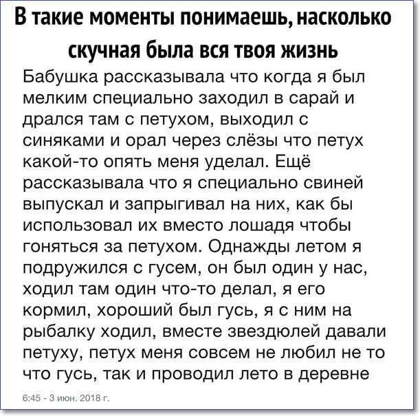 В такие МОМЕНТЫ ПОНИМЗЕШЬ НЗСКОЛЬКО скучная была ВСЯ ТВОЯ ЖИЗНЬ Бабушка рассказывала что когда я был мелким специально заходил в сарай и дрался Там С петухом БЫХОДИЛ С синяками и орал через слёзы что петух какойто опять меня уделал Ещё рассказывала что я специально свиней выпускал и запрыгивал на них как бы использовал их вместо лошадя чтобы гоняться за петухом Однажды летом я подружился С гусем О