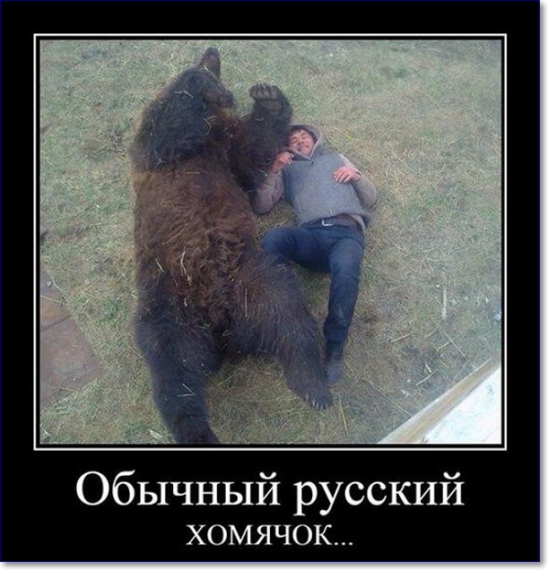 Обычный русский ХОМЯЧОК