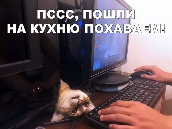 ПССС ПС ЁШЧ НА КУХНЮ