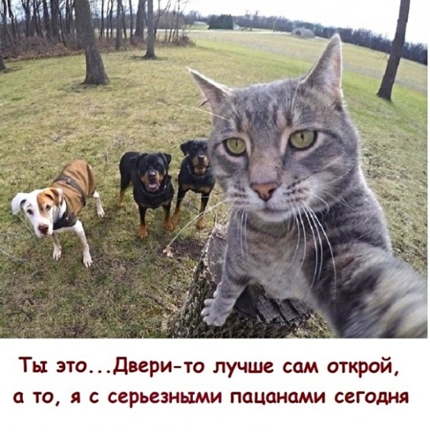 Ты этодверито лучше сам открой а то я с серьезными пацанами сегодня