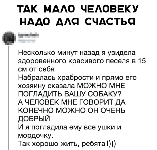 ТАК МААО ЧЕАОВЕКУ НАДО ААС СЧАСТЬС Несколько минут назад я увидела здоровенного красивого песеля в 15 см от себя Набралась храбрости и прямо его хозяину сказала МОЖНО МНЕ ПОГЛАДИТЬ ВАШУ СОБАКУ А ЧЕЛОВЕК МНЕ ГОВОРИТ ДА КОНЕЧНО МОЖНО ОН ОЧЕНЬ ДОБРЫЙ И я погладила ему все ушки и мордочку Так хорошо жить ребята