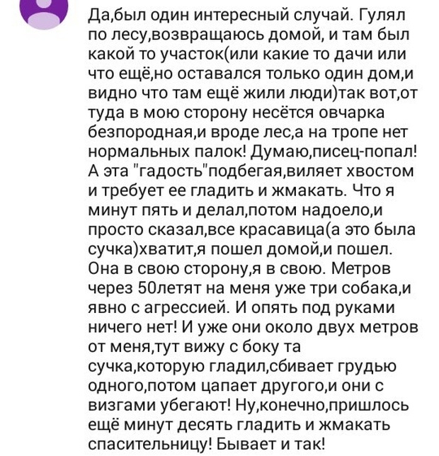 Дабыл один интересный случай Гупял по песувозвращаюсь домой и там был какой то участокипи какие то дачи или что ещёно оставался только один доми видно что там ещё жипи людитак вотот туда в мою сторону несётся овчарка безпороднаям вроде леса на тропе нет нормальных папок думаюписец попап А эта гадостьподбегаявиляет хвостом и требует ее гладить и жмакать Что я минут пять и депалпотом надоепом просто