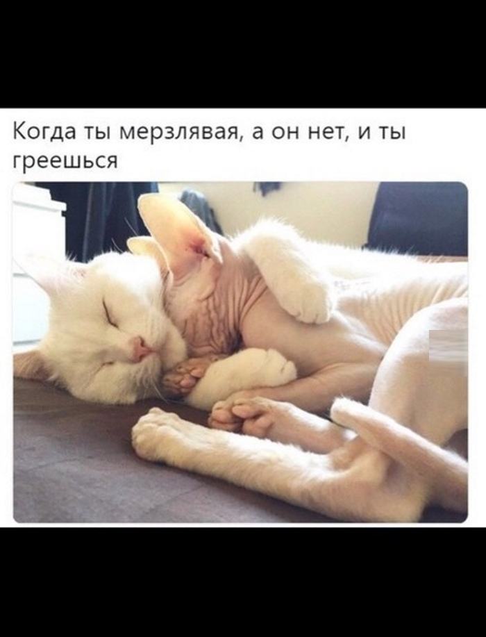 Когда ТЫ МЭРЗЛЯВдЯ а ОН НЭТ И ТЫ греешься