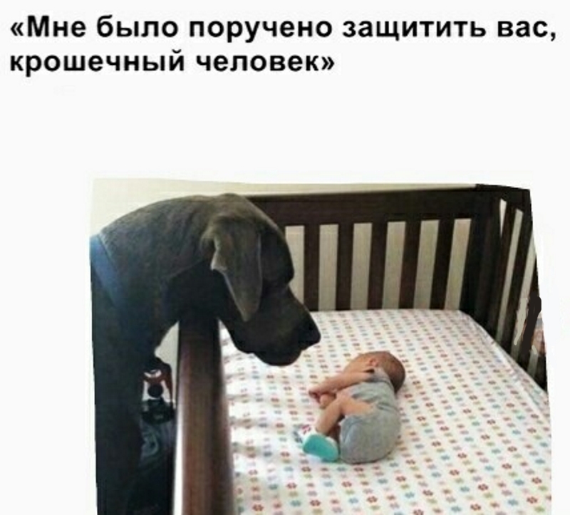 Мне было поручено защитить вас крошечный человек