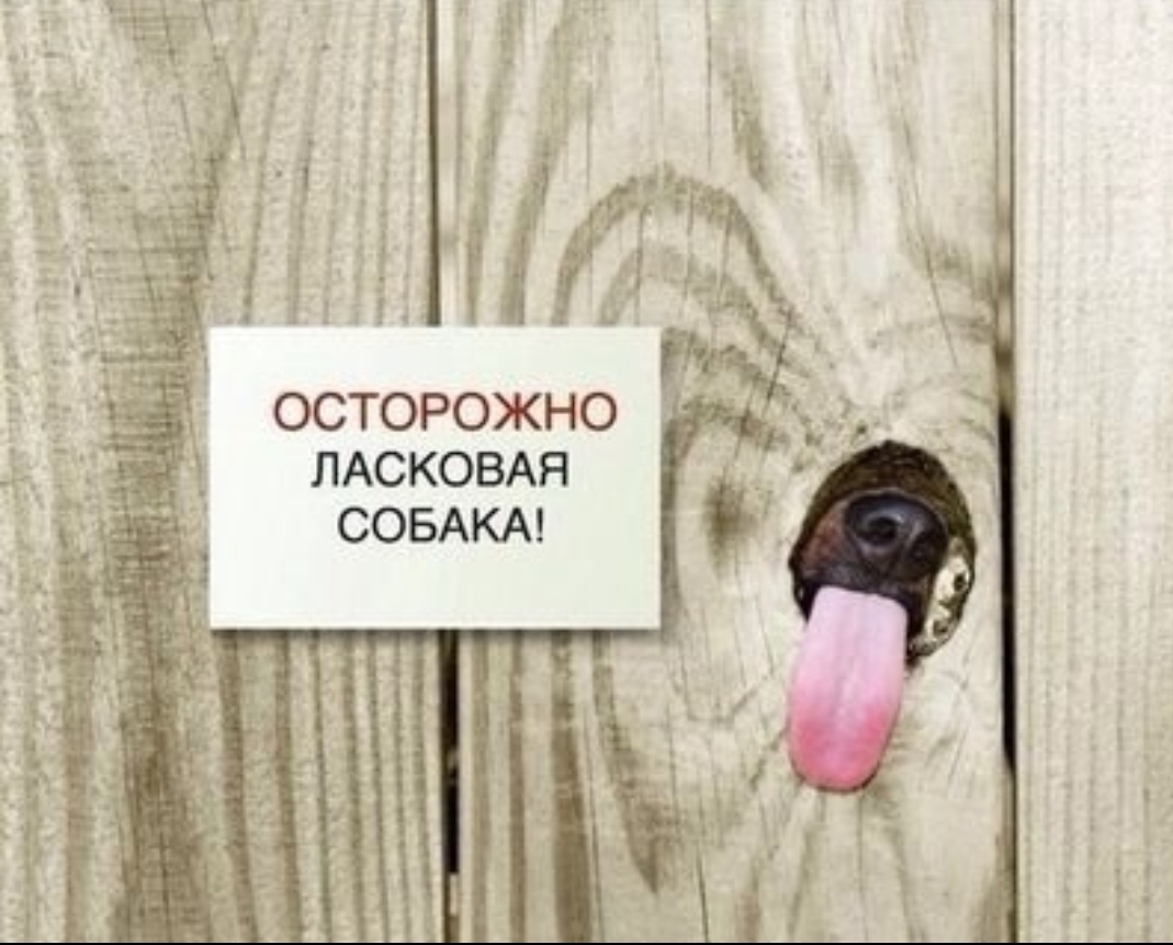 ОСТОРОЖНО ЛАСКОВАЯ СОБАКА