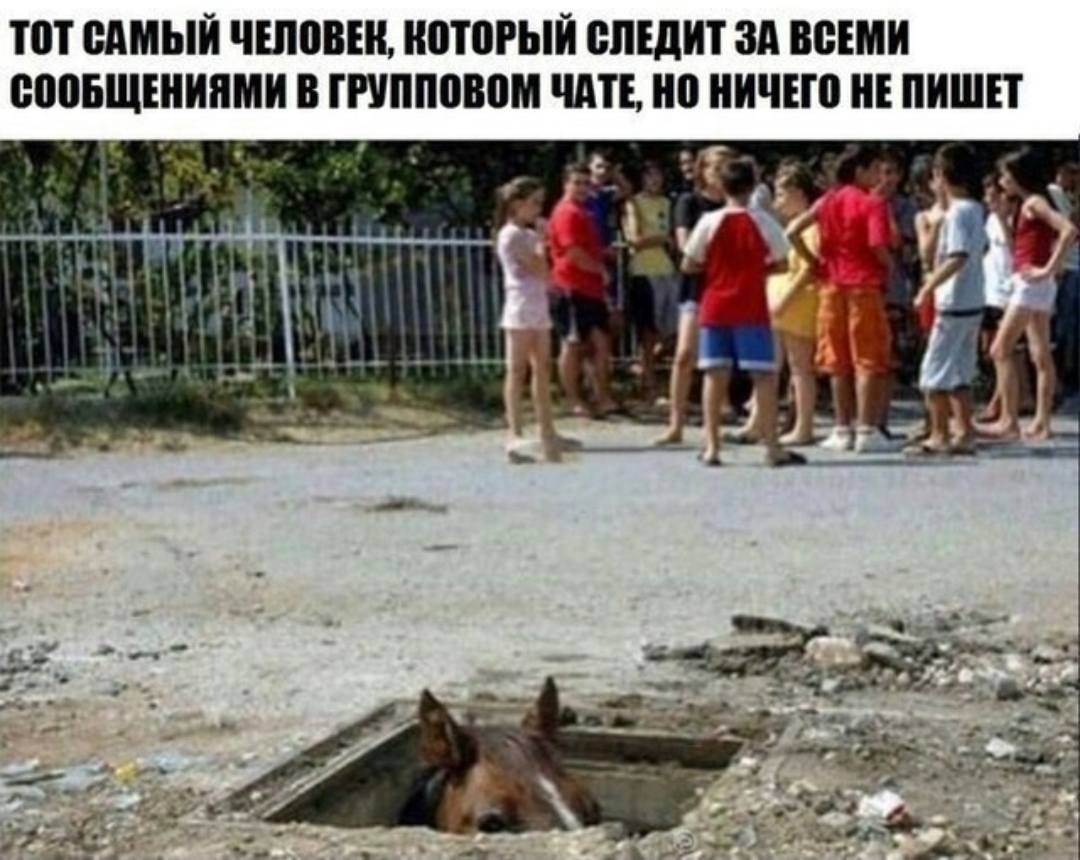 ПП САМЫЙ ЧШПВЕН НПТПРЫЙ ВПЕДИТ ЗА ВСЕМИ ВПОБЩШИПМИ В ГРУППШЮМ ЧАТЕ НИЧЕЮ НЕ ПИШП