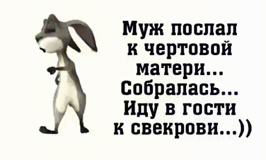 Муж поспал к чертовой матери Собралась Иду в гости к свекрови