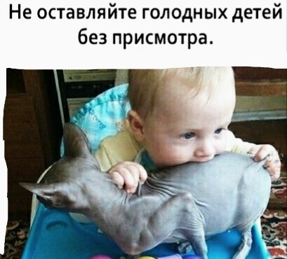 Не оставляйте голодных детей без присмотра