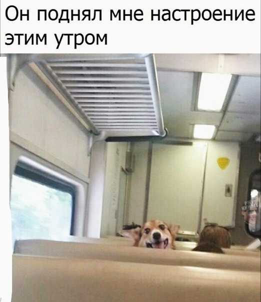 Юн поднял мне насгроение этим утром