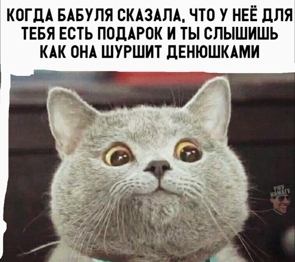 КОГДА БАБУЛЯ СКАЗАЛА ЧТО У НЕЁ дЛЯ ТЕБЯ ЕСТЬ ПОДАРОК И ТЫ СПЫШИШЬ КАК ОНА ШУРШИТ ДЕНЮШКАМИ