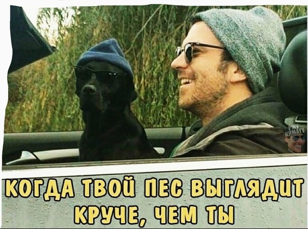 ши дип ш
