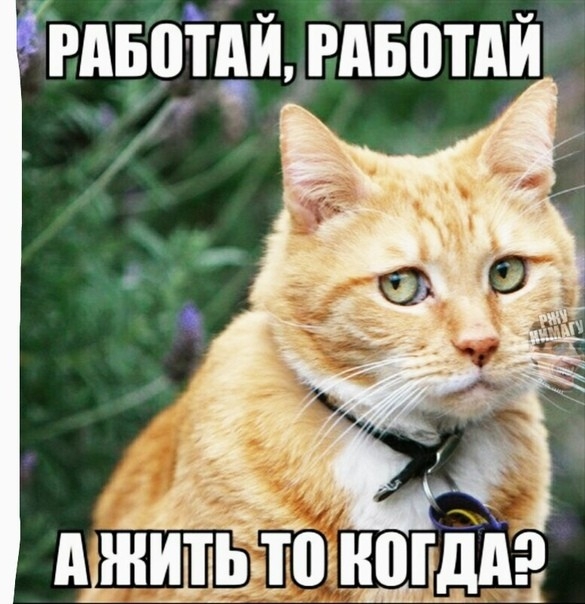 ь РАБОТЫРАБЩАИЁ _ Г у 7
