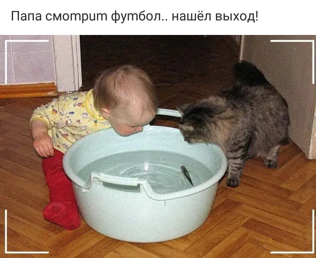 Папа смотрит футбол нашёл выход