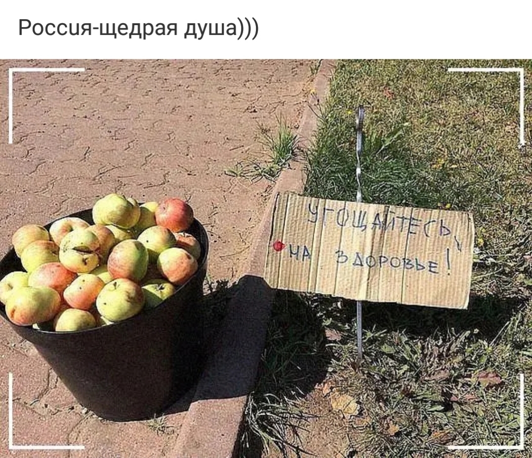 щедрая душа Россия