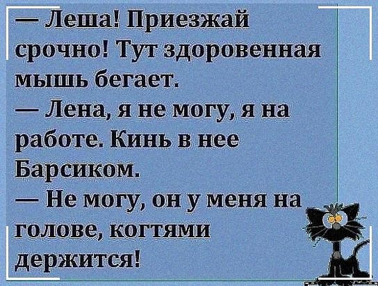 Леша Приезжай срочно Тут здоровенная МЫШЬ бегает Лена Янемогудя на работа Кинь В нее Барсйком Не могу ону меня на голове КОГТЯМИ держится