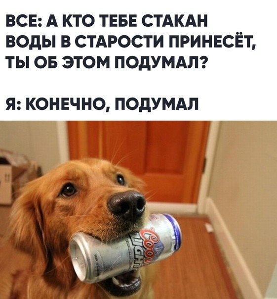 ВСЕ А КТО ТЕБЕ СТАКАН ВОДЫ В СТАРОСТИ ПРИНЕСЕТ ТЫ ОБ ЭТОМ ПОдУМАЛ Я КОНЕЧНО ПОдУМАЛ